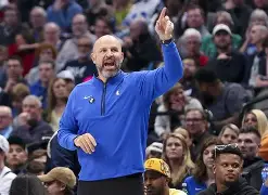 wnba卡梅伦布林克 wnba卡梅伦布林克