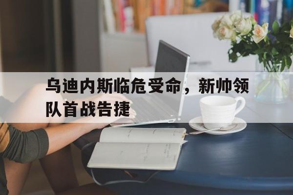 掘金新帅阿德尔曼
